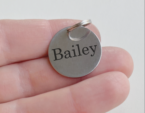 Custom Engraved Pet Name Identification Tag with Split Ring