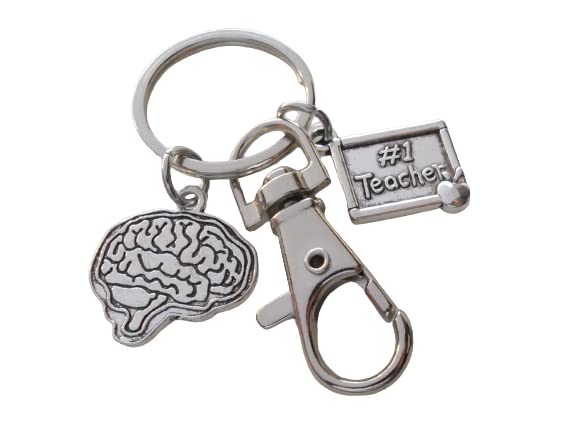 Anatomy, Science, Biology or Psychologist Teacher Keychain with Brain Charm, #1 Teacher Charm & Swivel Clasp