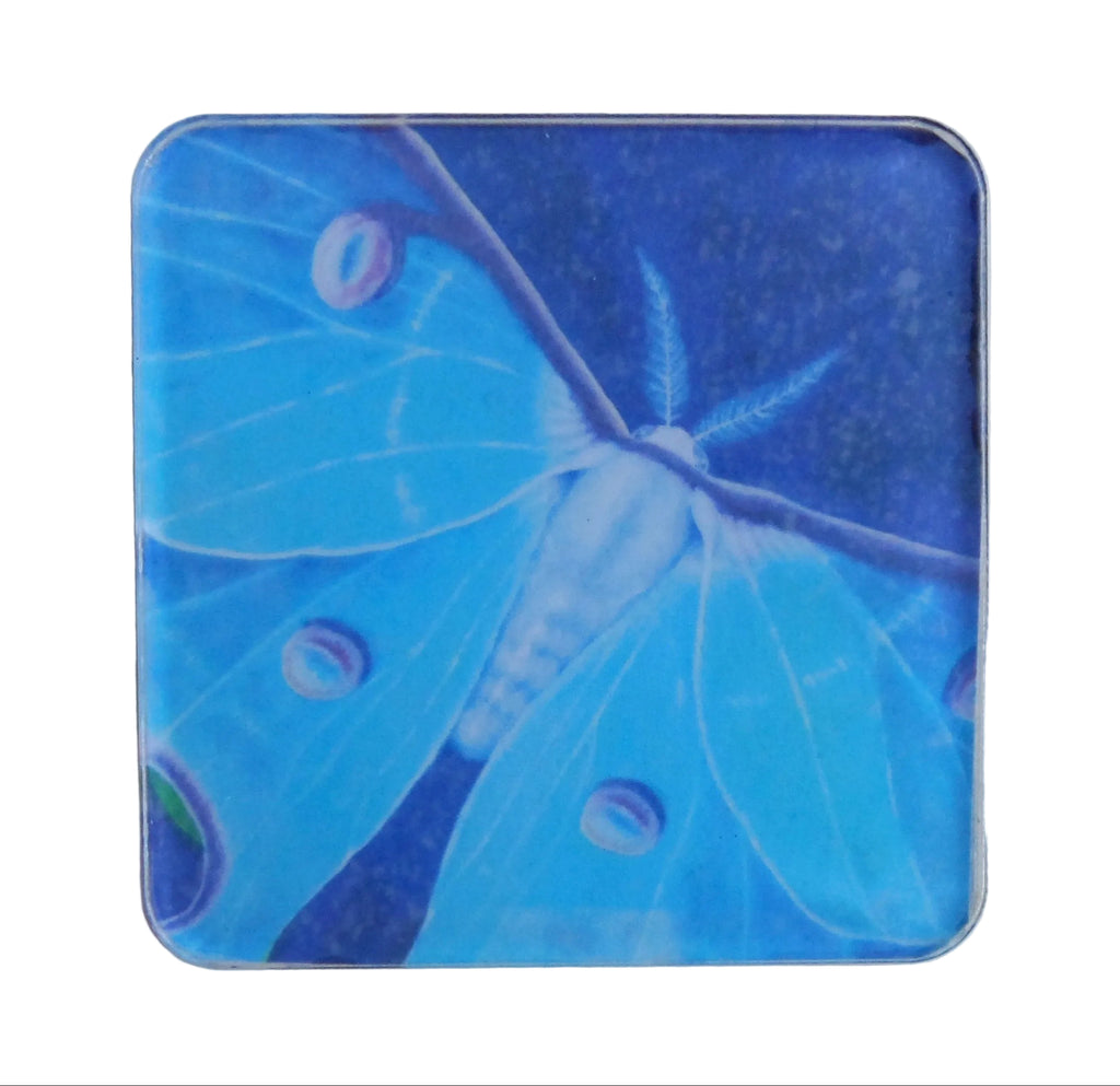 Art Work Magnet By Tessa of Blue Moth