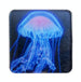 Art Work Magnet By Tessa of Blue Jellyfish on Dark Background