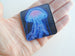 Art Work Magnet By Tessa of Blue Jellyfish on Dark Background