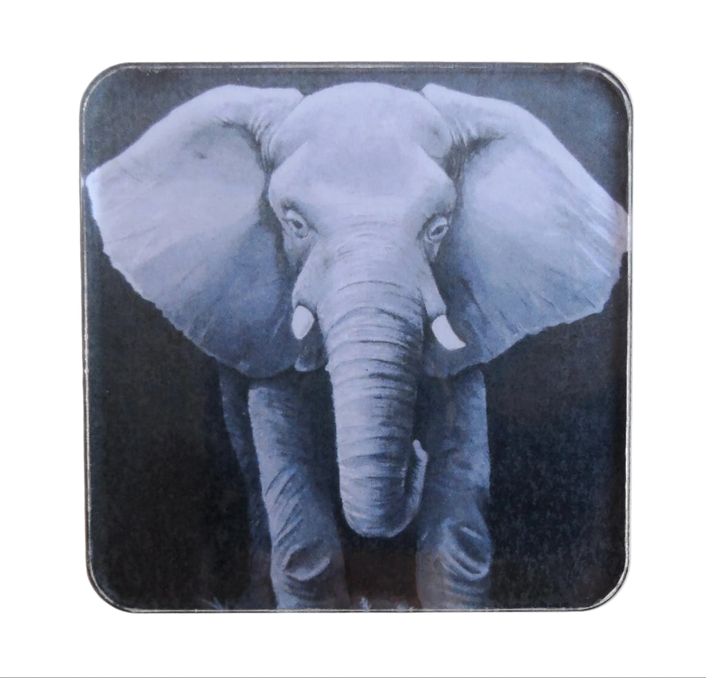 Art Work Magnet By Tessa of Elephant on Dark Background